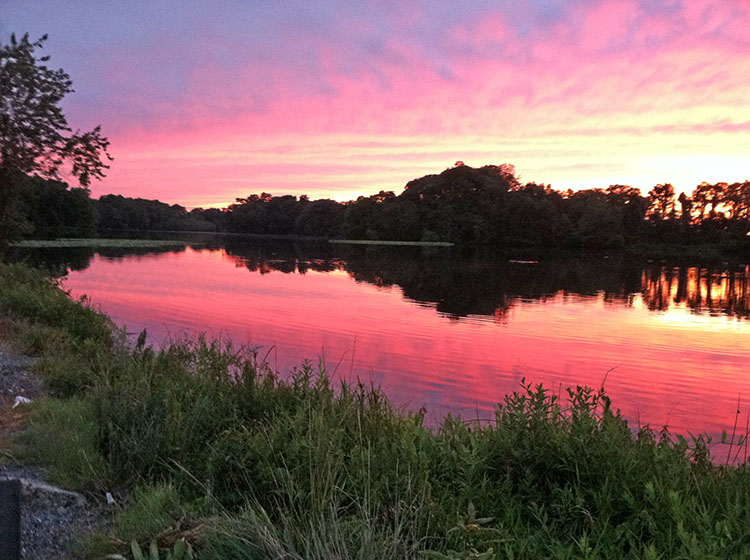 sunset on pond